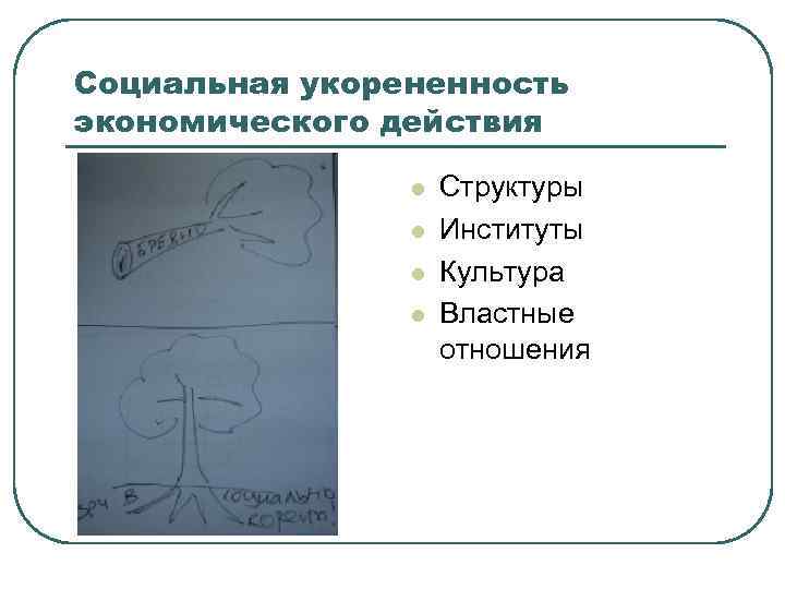 Социальная укорененность экономического действия l l Структуры Институты Культура Властные отношения 