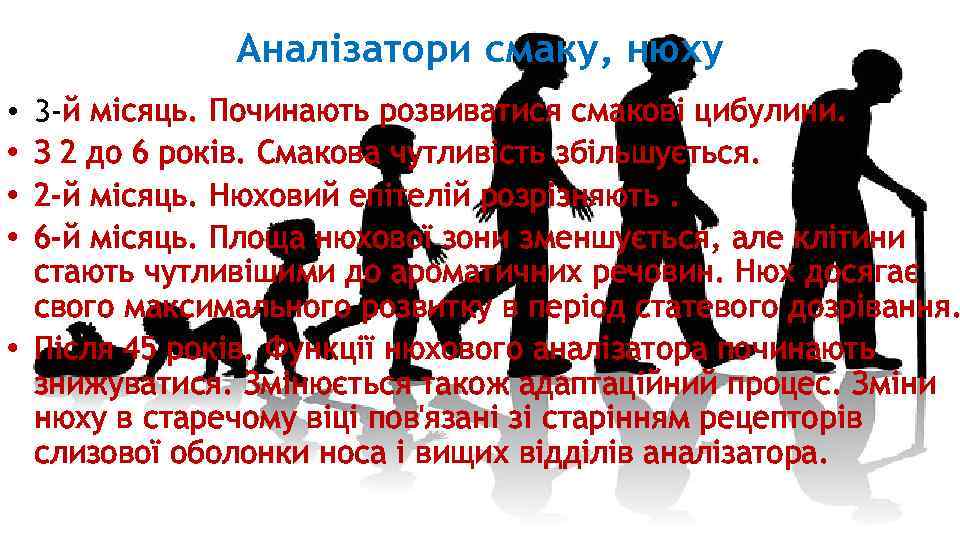  Аналізатори смаку, нюху 3 -й місяць. Починають розвиватися смакові цибулини. З 2 до