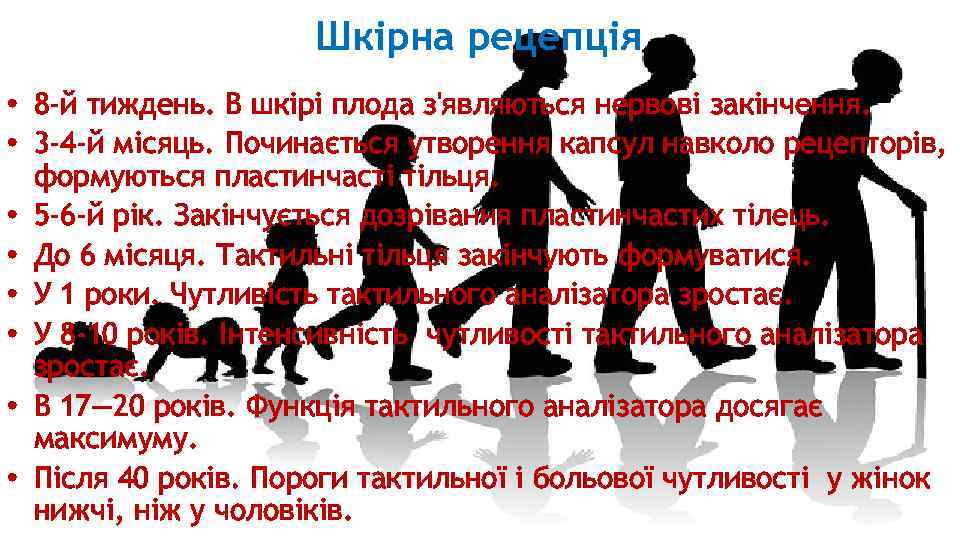 Шкірна рецепція • 8 -й тиждень. В шкірі плода з'являються нервові закінчення. • 3