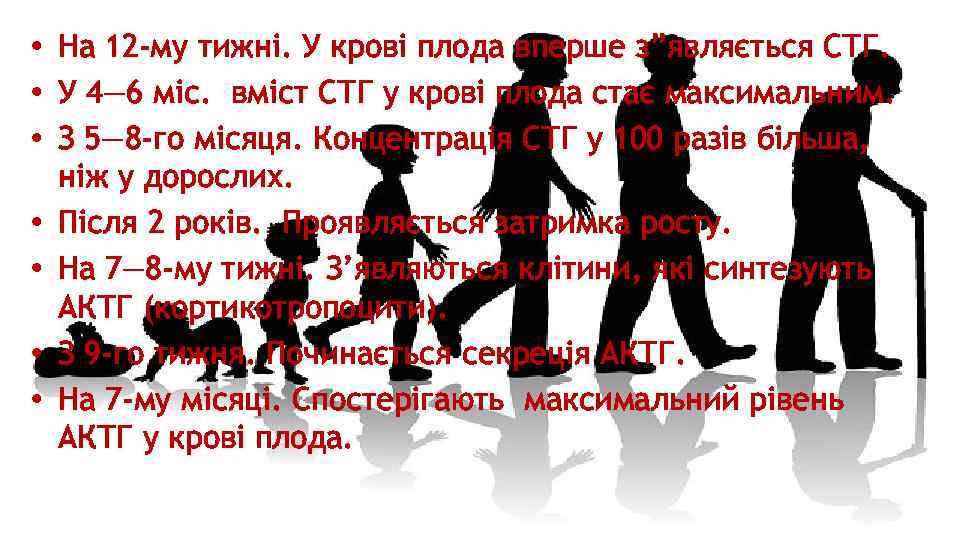  • На 12 -му тижні. У крові плода вперше з”являється СТГ. • У