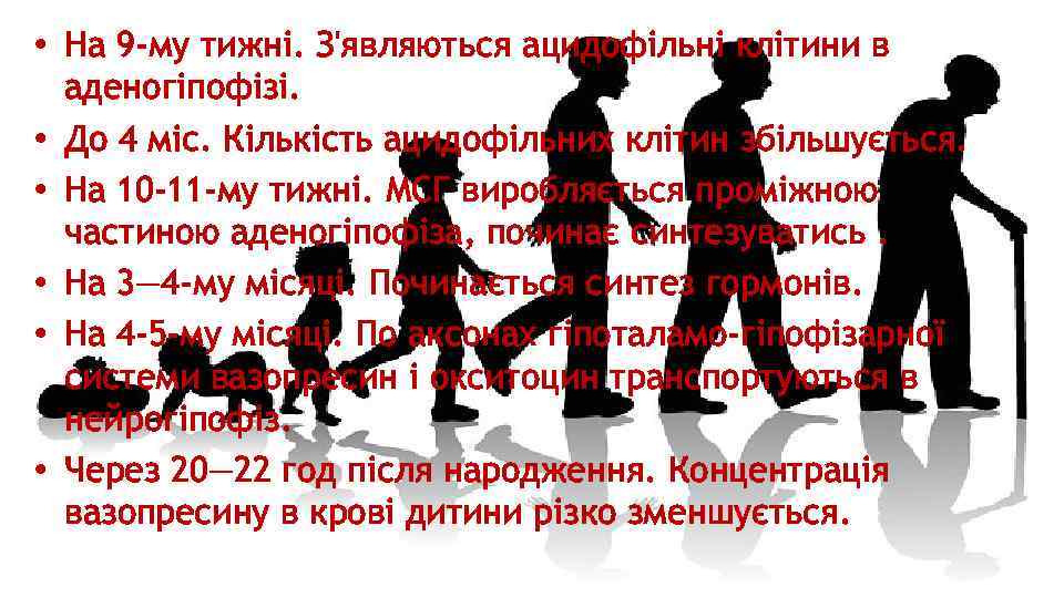  • На 9 -му тижні. З'являються ацидофільні клітини в аденогіпофізі. • До 4