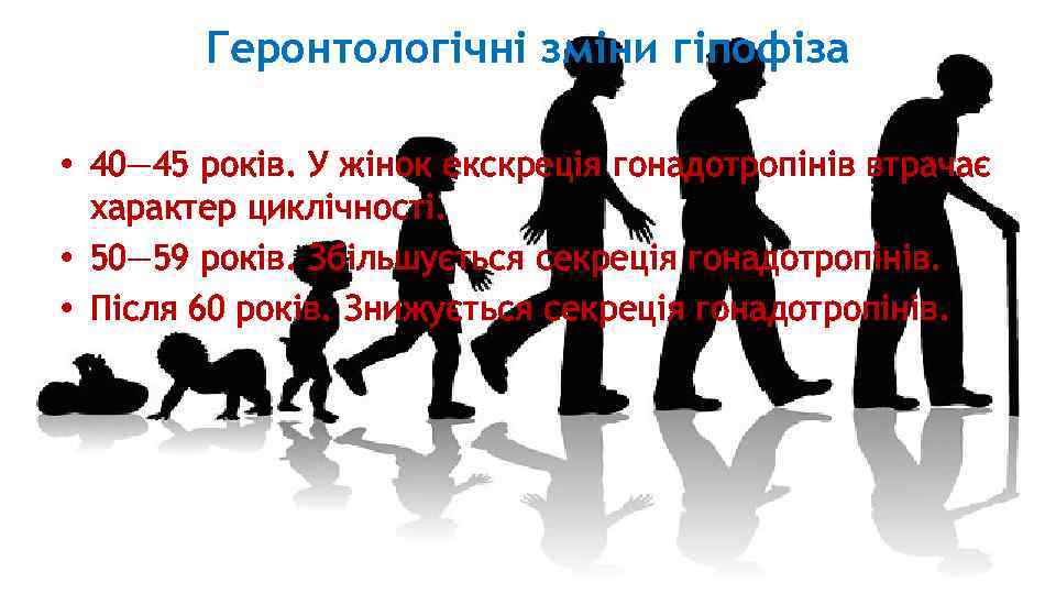 Геронтологічні зміни гіпофіза • 40— 45 років. У жінок екскреція гонадотропінів втрачає характер циклічності.