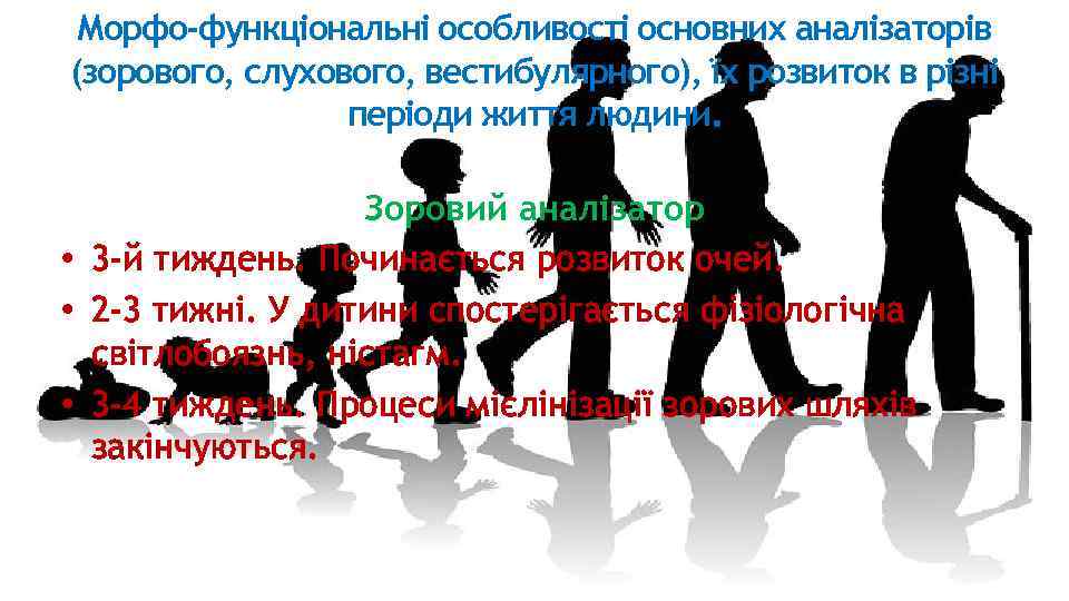 Морфо-функціональні особливості основних аналізаторів (зорового, слухового, вестибулярного), їх розвиток в різні періоди життя людини.