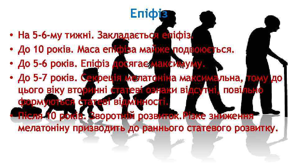 Епіфіз На 5 -6 -му тижні. Закладається епіфіз. До 10 років. Маса епіфіза майже