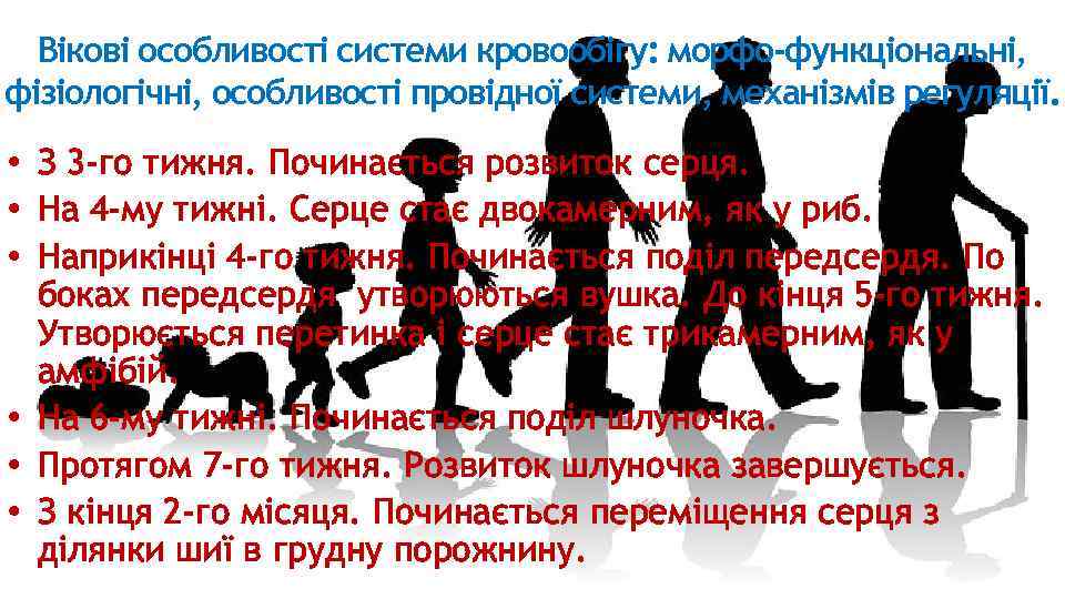 Вікові особливості системи кровообігу: морфо-функціональні, фізіологічні, особливості провідної системи, механізмів регуляції. • З 3