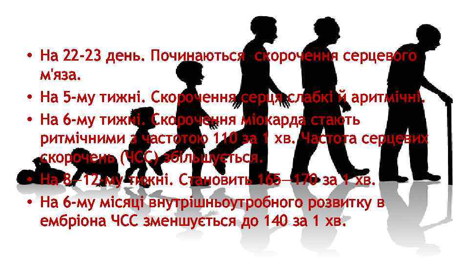  • На 22 -23 день. Починаються скорочення серцевого м'яза. • На 5 -му