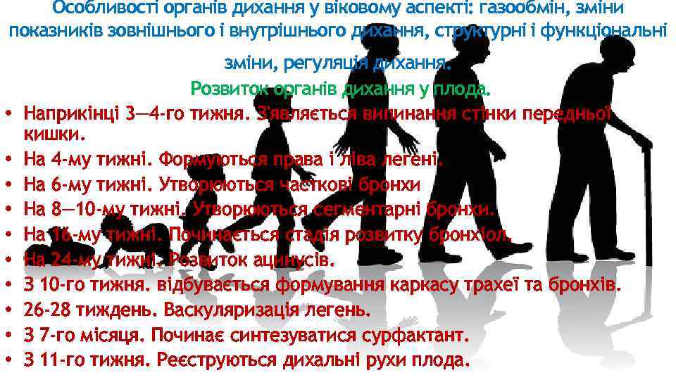 Особливості органів дихання у віковому аспекті: газообмін, зміни показників зовнішнього і внутрішнього дихання, структурні