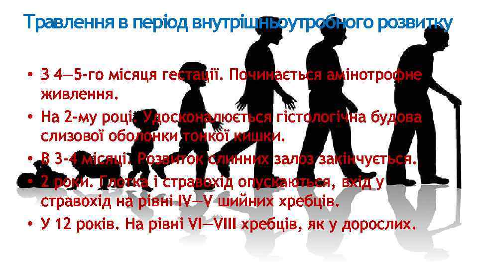 Травлення в період внутрішньоутробного розвитку • З 4— 5 -го місяця гестації. Починається амінотрофне