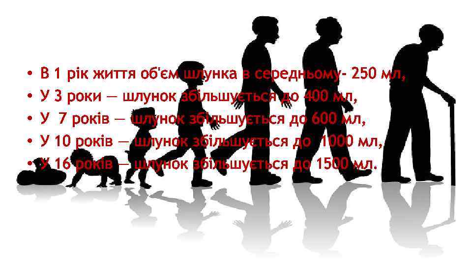  • • • В 1 рік життя об'єм шлунка в середньому- 250 мл,