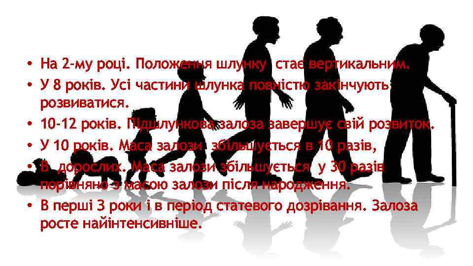  • На 2 -му році. Положення шлунку стає вертикальним. • У 8 років.