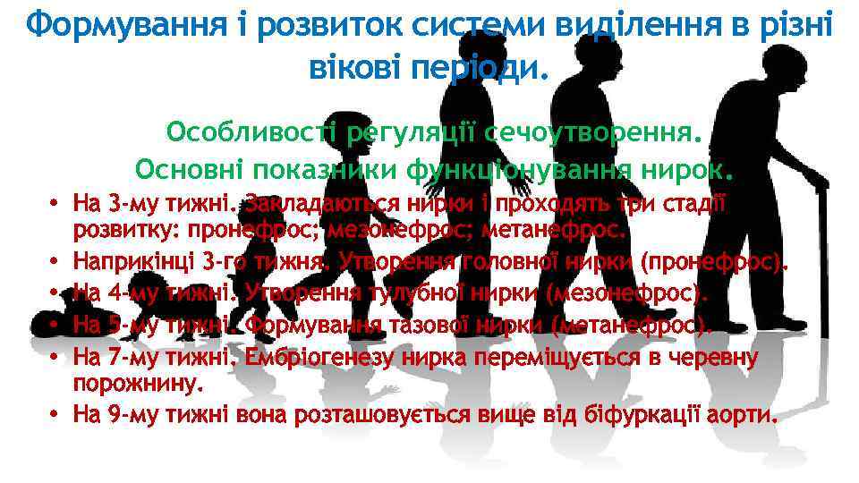 Формування і розвиток системи виділення в різні вікові періоди. Особливості регуляції сечоутворення. Основні показники