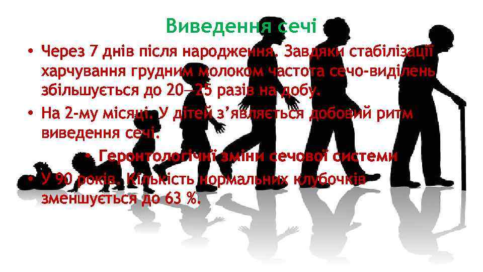 Виведення сечі • Через 7 днів після народження. Завдяки стабілізації харчування грудним молоком частота