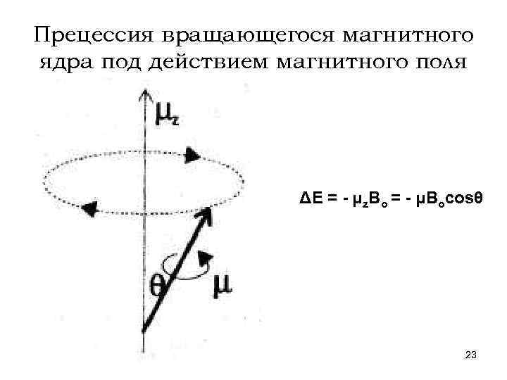 Скорость протона в магнитном поле. Прецессия магнитного момента в магнитном поле. Прецессия ядер. Прецессия ядер в магнитном поле. Прецессия атомного ядра.