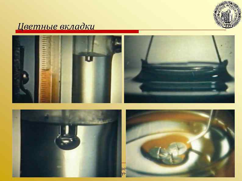 Цветные вкладки Волгоградский государственный технический университет 