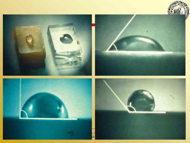 Волгоградский государственный технический университет 