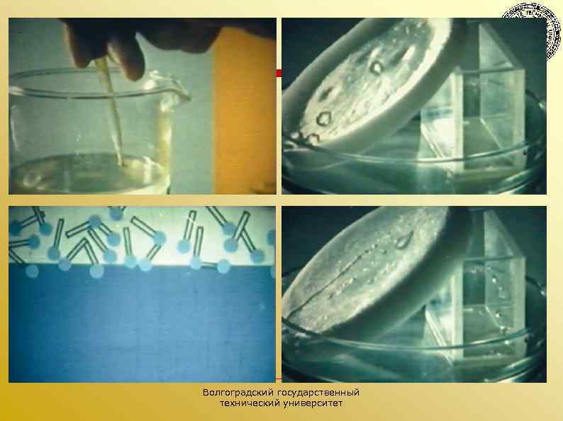 Волгоградский государственный технический университет 