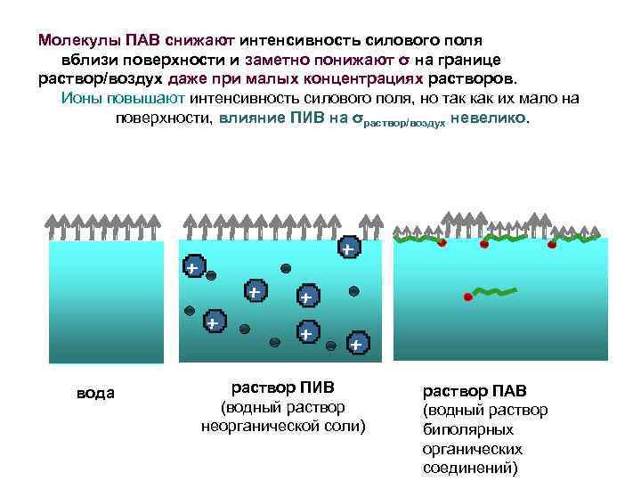 Молекулы ПАВ снижают интенсивность силового поля вблизи поверхности и заметно понижают σ на границе
