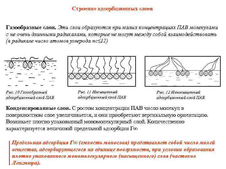 Строение адсорбционных слоев Газообразные слои. Эти слои образуются при малых концентрациях ПАВ молекулами с