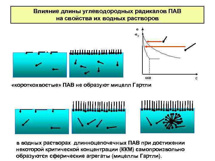 Влияние длины углеводородных радикалов ПАВ на свойства их водных растворов σ σо ККМ «короткохвостые»