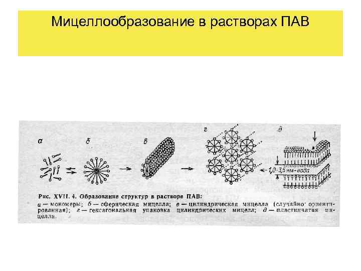 Мицеллообразование в растворах ПАВ 