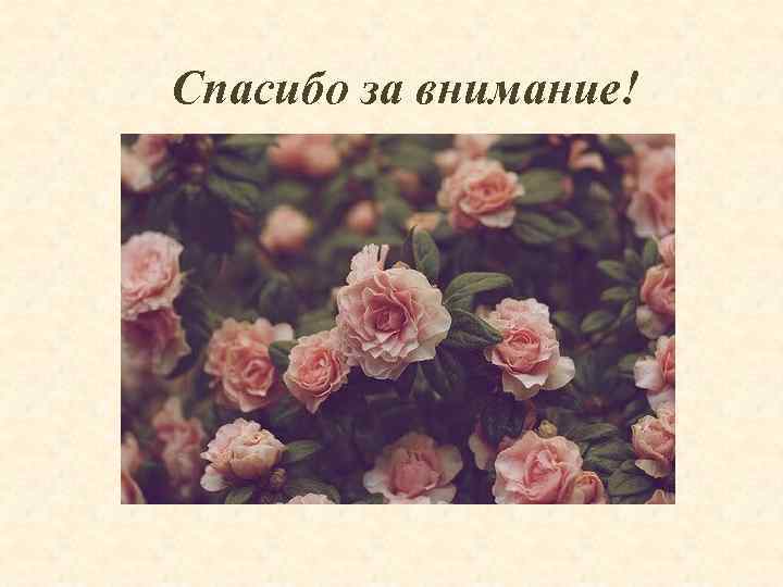 Спасибо за внимание! 