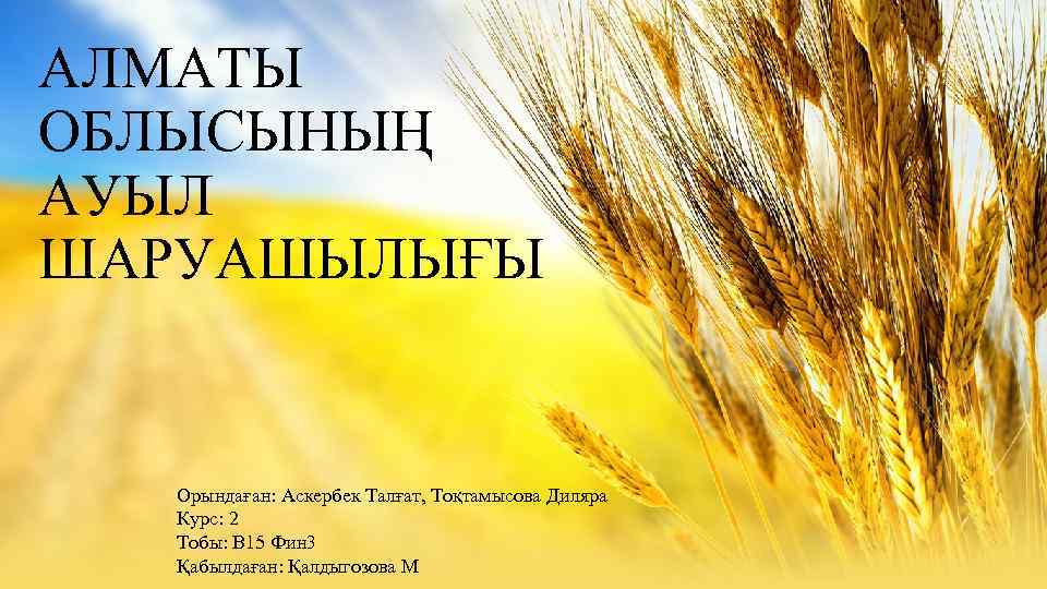 АЛМАТЫ ОБЛЫСЫНЫҢ АУЫЛ ШАРУАШЫЛЫҒЫ Орындаған: Аскербек Талғат, Тоқтамысова Диляра Курс: 2 Тобы: В 15