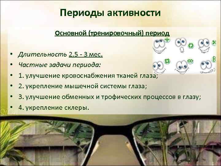 Периоды активности Основной (тренировочный) период • • • Длительность 2, 5 - 3 мес.