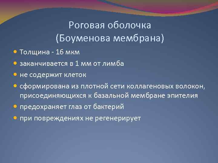 Роговая оболочка (Боуменова мембрана) Толщина - 16 мкм заканчивается в 1 мм от лимба