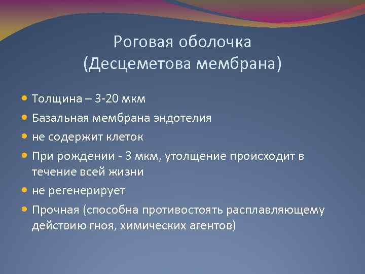 Роговая оболочка (Десцеметова мембрана) Толщина – 3 -20 мкм Базальная мембрана эндотелия не содержит
