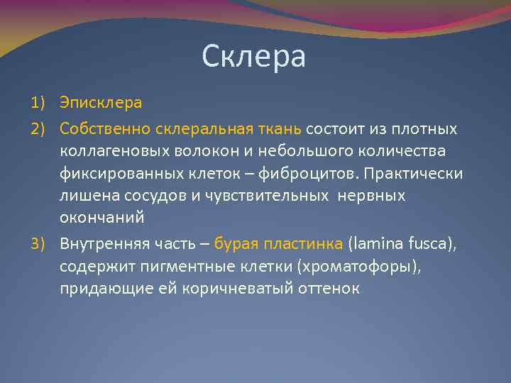 Склера 1) Эписклера 2) Собственно склеральная ткань состоит из плотных коллагеновых волокон и небольшого