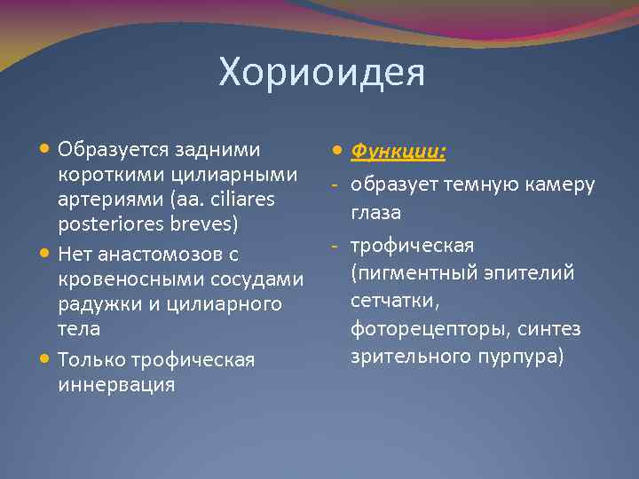 Хориоидея Образуется задними короткими цилиарными артериями (aa. ciliares posteriores breves) Нет анастомозов с кровеносными