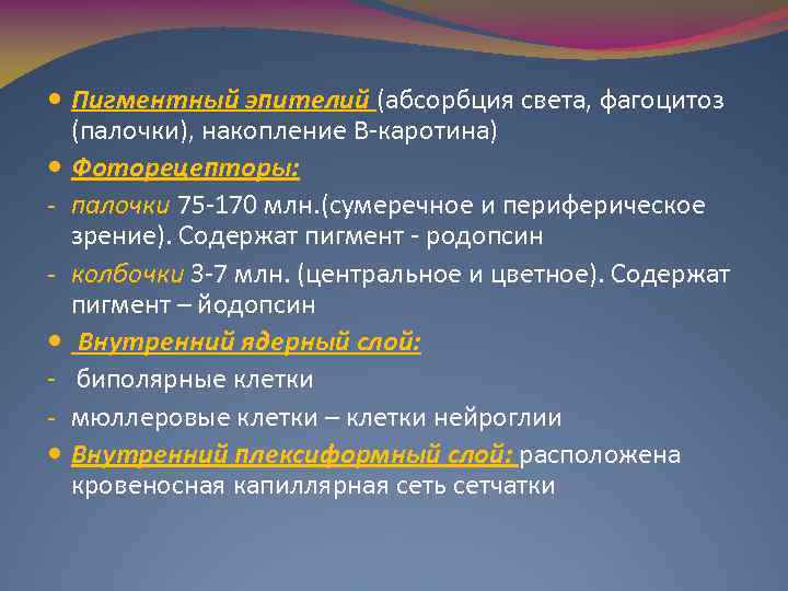  Пигментный эпителий (абсорбция света, фагоцитоз (палочки), накопление B-каротина) Фоторецепторы: - палочки 75 -170