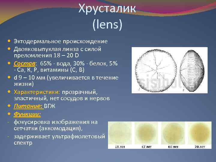 Сколько хрусталиков в большом театре