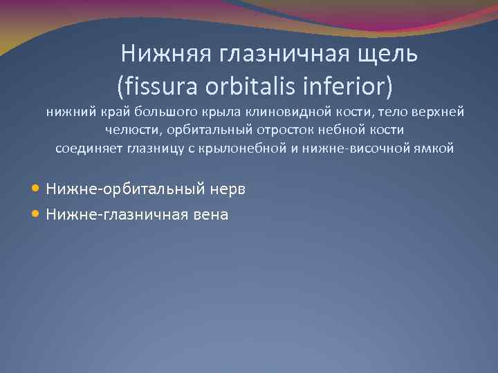 Нижняя глазничная щель (fissura orbitalis inferior) нижний край большого крыла клиновидной кости, тело верхней