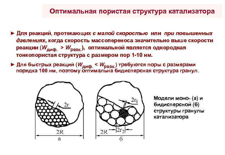 Общие свойства катализаторов