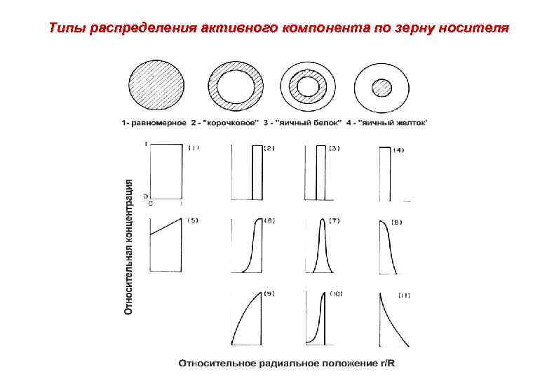 Типы распределения активного компонента по зерну носителя 
