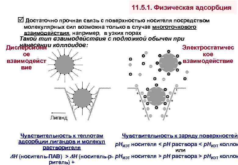11. 5. 1. Физическая адсорбция Достаточно прочная связь с поверхностью носителя посредством молекулярных сил