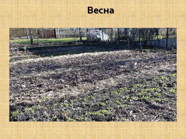 Весна 