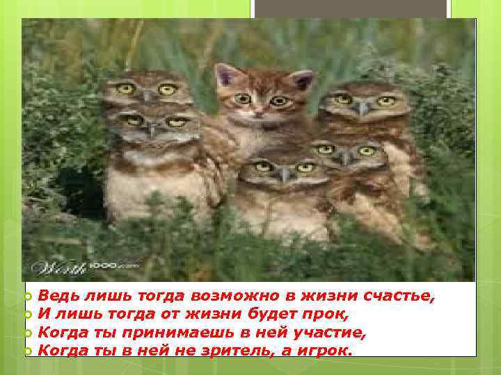 Ведь лишь тогда возможно в жизни счастье, И лишь тогда от жизни будет прок,