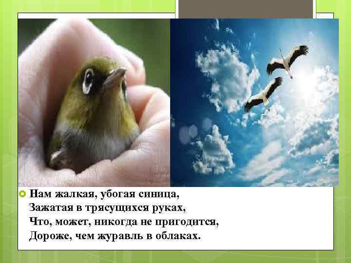 Журавль в небе синица. Синица в руках журавль в небе. Лучше иметь синицу в руках чем журавля в небе. Лучше синица в руках чем журавль в небе значение. Лучше синица в руках чем журавль в небе смысл.