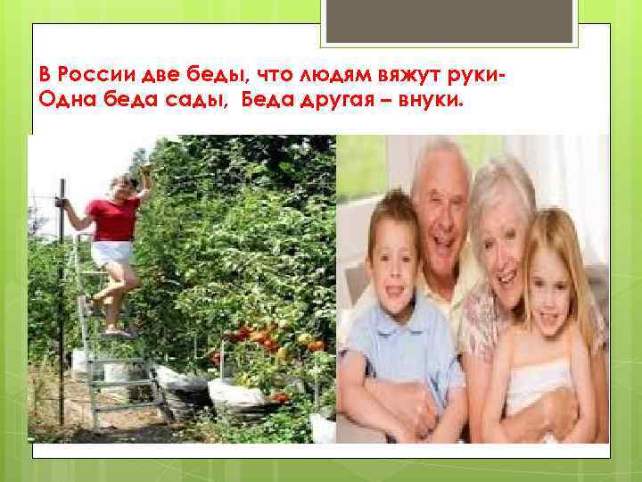 В России две беды, что людям вяжут руки. Одна беда сады, Беда другая –