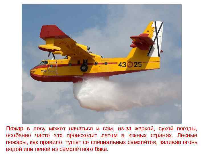 Пожар в лесу может начаться и сам, из-за жаркой, сухой погоды, особенно часто это