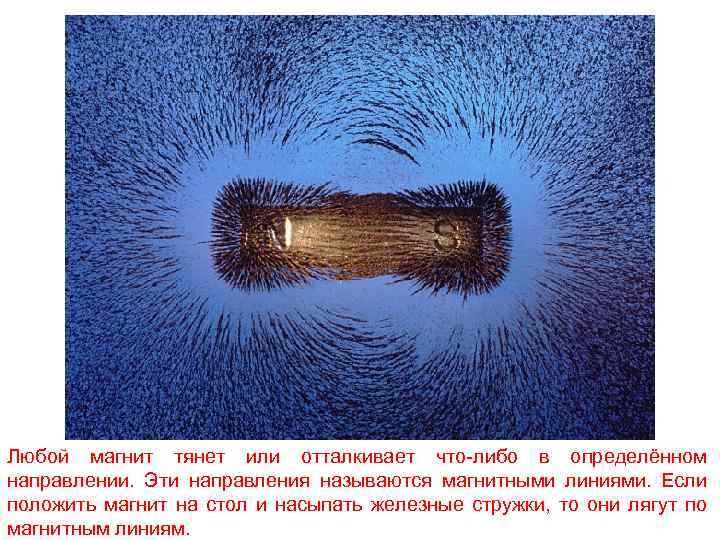 Любой магнит тянет или отталкивает что-либо в определённом направлении. Эти направления называются магнитными линиями.