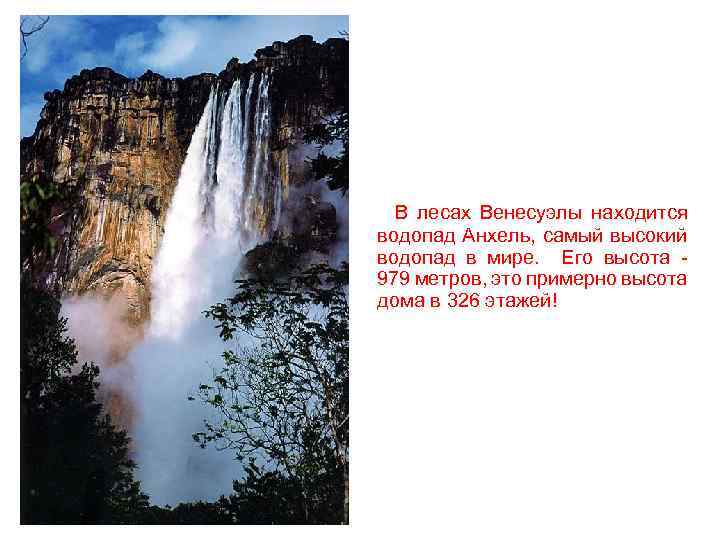  В лесах Венесуэлы находится водопад Анхель, самый высокий водопад в мире. Его высота