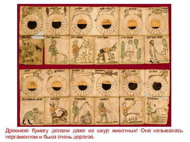 Древнюю бумагу делали даже из шкур животных! Она называлась пергаментом и была очень дорогой.