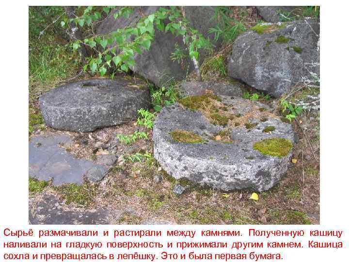 Сырьё размачивали и растирали между камнями. Полученную кашицу наливали на гладкую поверхность и прижимали