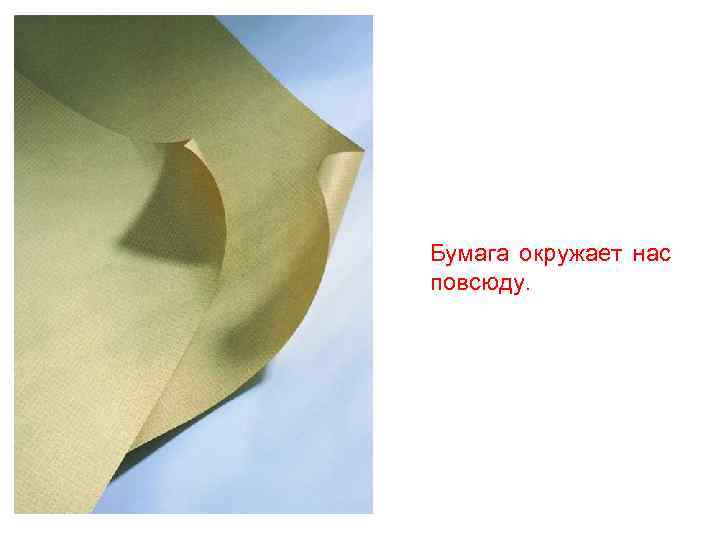 Бумага окружает нас повсюду. 