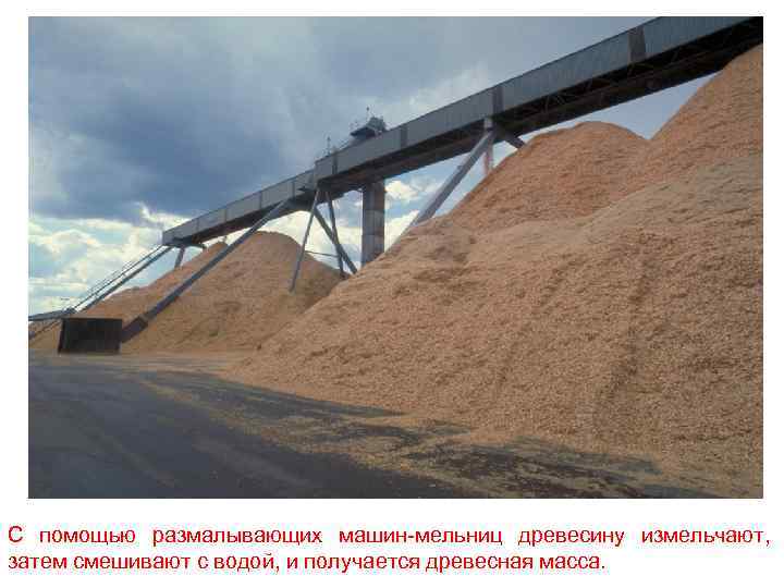 С помощью размалывающих машин-мельниц древесину измельчают, затем смешивают с водой, и получается древесная масса.