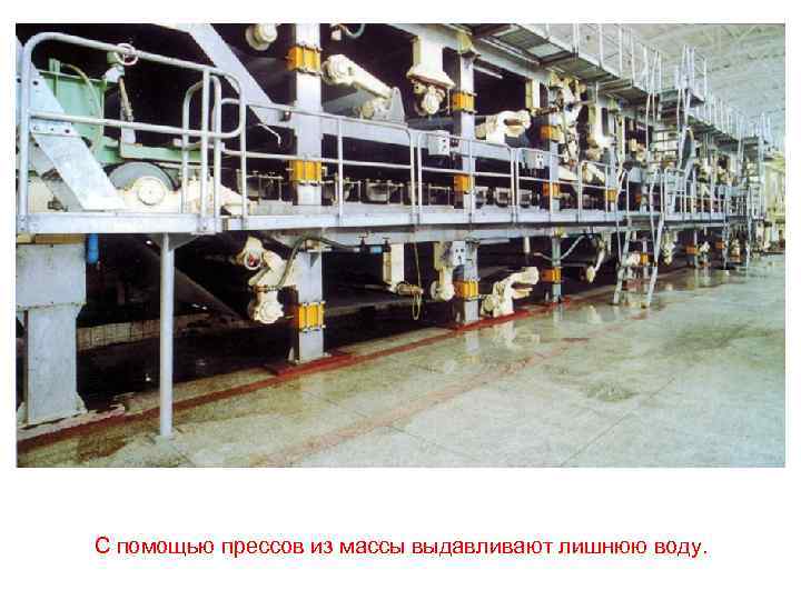 С помощью прессов из массы выдавливают лишнюю воду. 