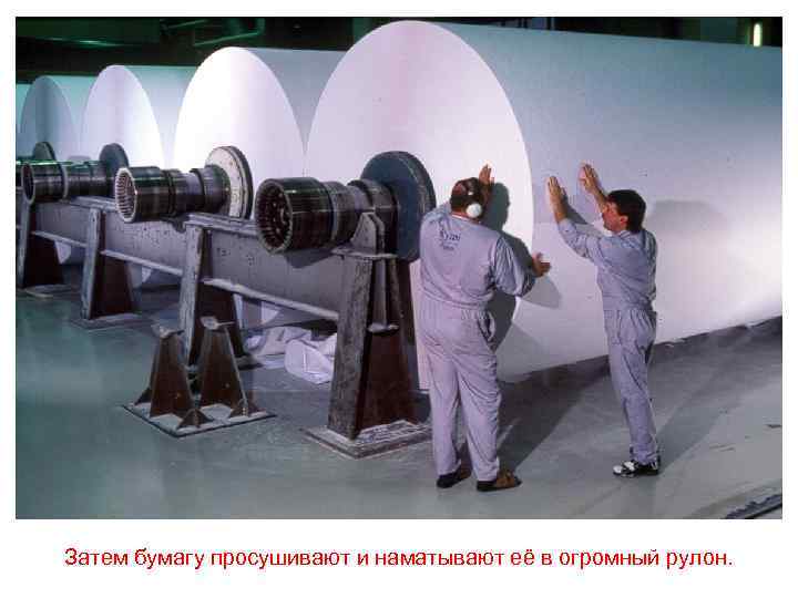 Затем бумагу просушивают и наматывают её в огромный рулон. 